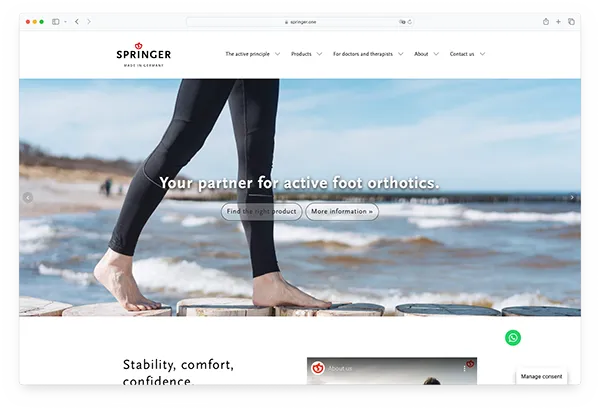 Screenshot Website springer.one