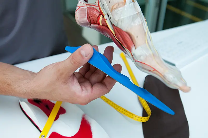 Thema Sensomotorik – Anatomischer Fuß mit sensomotorischer Einlage