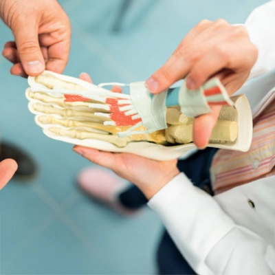 Anatomic Foot shows how sensorimotor insoles work